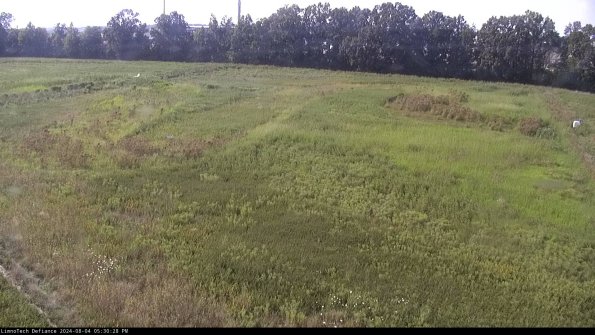 Cell 3_24-08-04_17-30-29-35