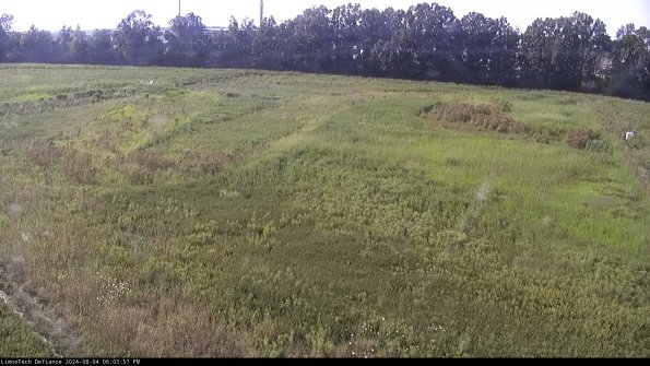 Cell 3_24-08-04_18-03-58-37