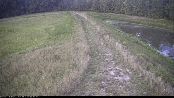 Cell 4 to Basin_24-08-04_20-52-22-36