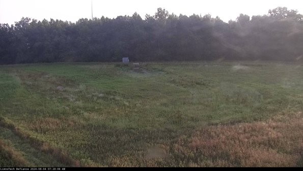 Cell 4_24-08-04_07-28-07-34