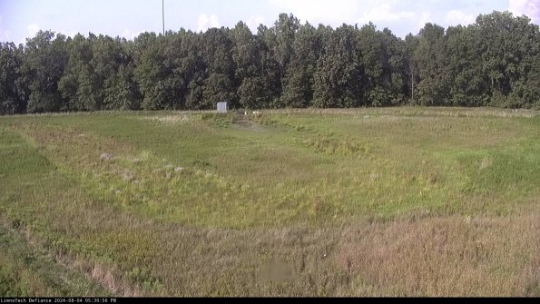 Cell 4_24-08-04_17-30-57-38