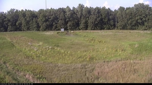 Cell 4_24-08-04_18-04-26-36