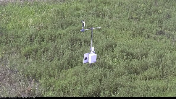 image23-08-17_10-43-09-93