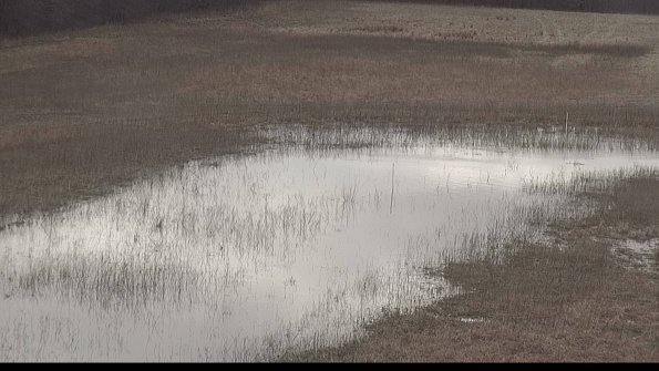 defiance22-03-23_13-59-59-39