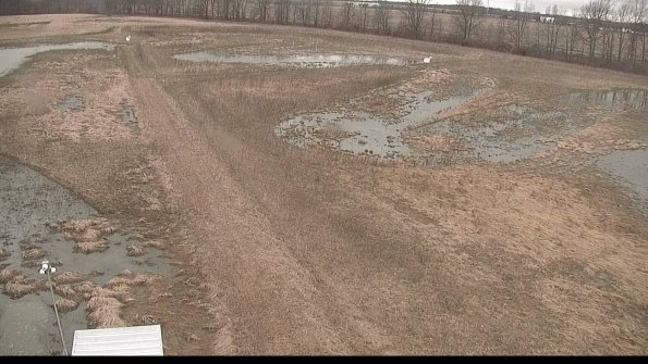 defiance22-03-26_11-59-59-55