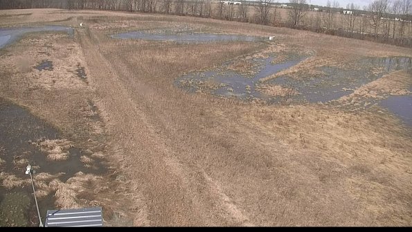 defiance22-03-28_11-59-59-95