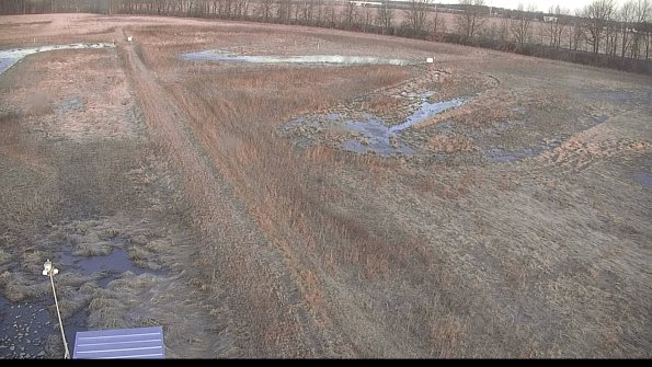 defiance22-03-29_07-59-59-56