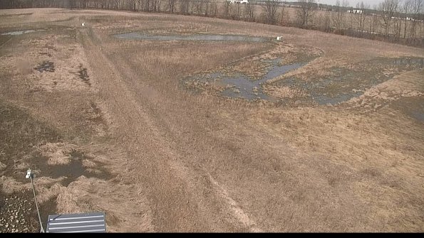 defiance22-03-29_11-59-59-72