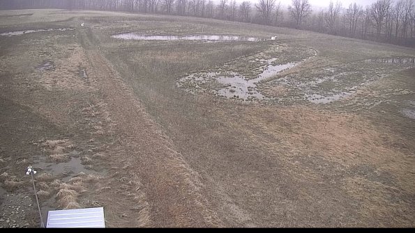 defiance22-04-01_07-59-59-66