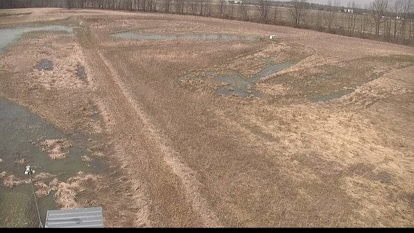 defiance22-04-04_13-59-59-44