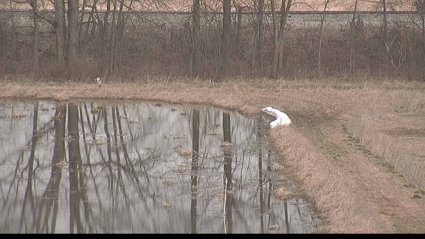 defiance22-04-05_10-59-59-49