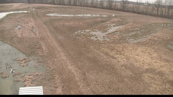 defiance22-04-05_15-59-59-77