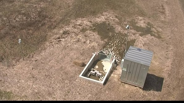 defiance22-04-12_12-59-59-62