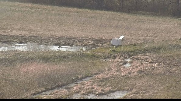 defiance22-04-16_17-59-59-56